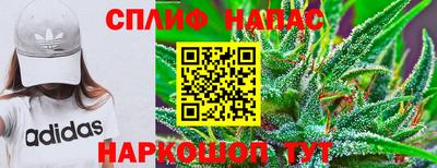 стаф Славянск-на-Кубани