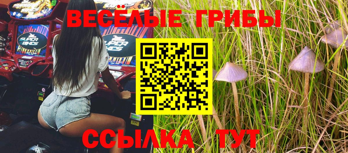 Псилоцибиновые грибы Magic Shrooms  Вход с VPN  Орск 